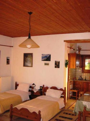 Gerakofolia Rooms To Let Konitsa Luaran gambar
