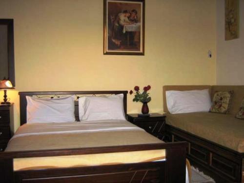 Gerakofolia Rooms To Let Konitsa Luaran gambar